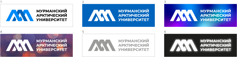 Основные варианты логотипа МАУ