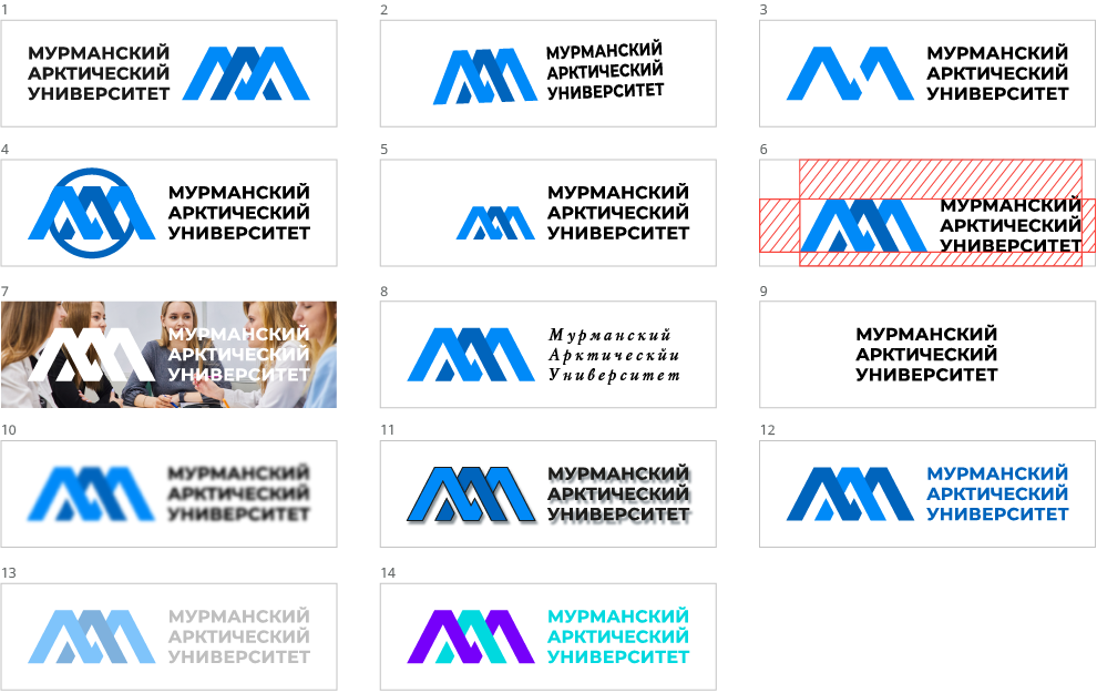 Основные варианты логотипа МАУ