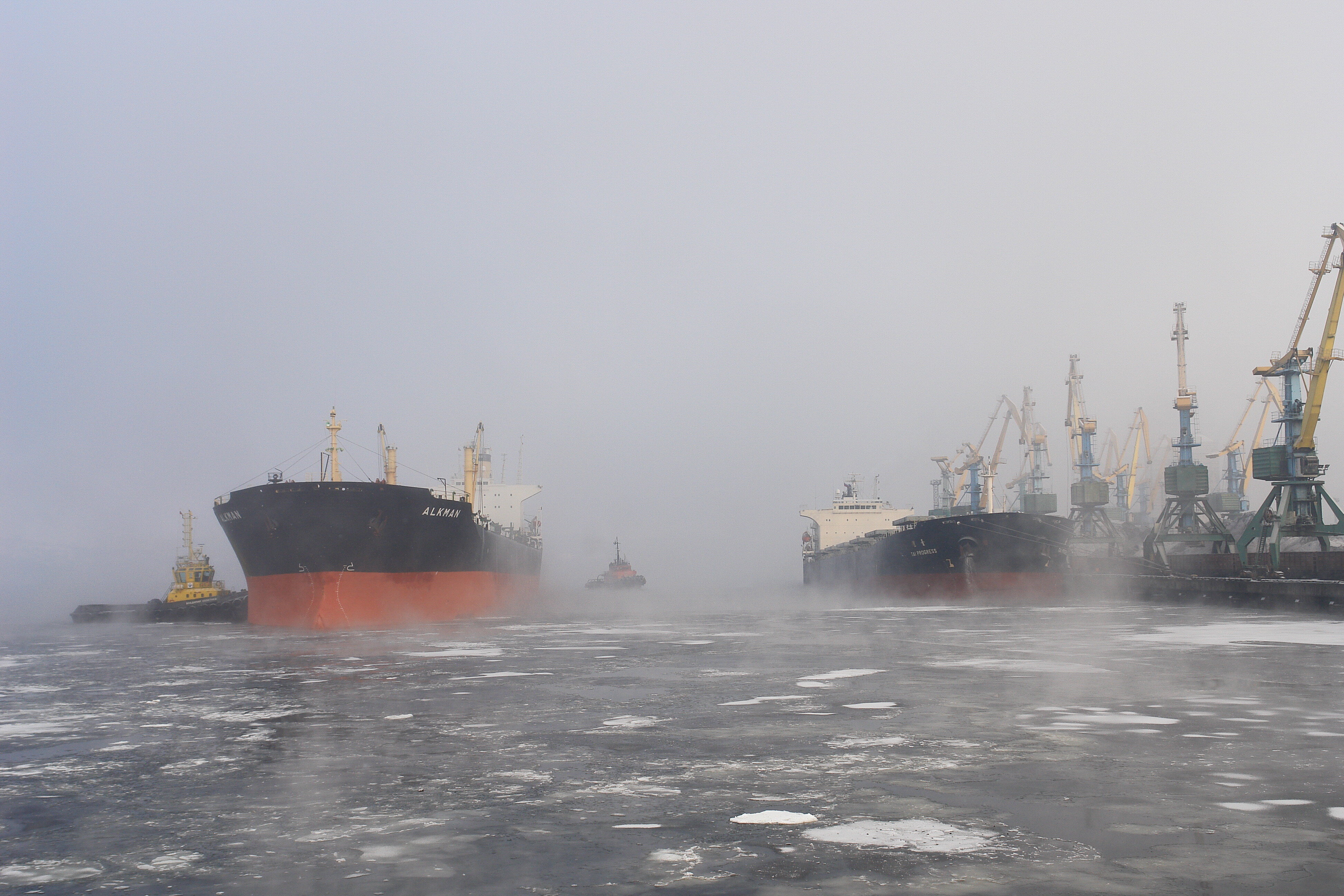 Акционерное общество «Мурманский морской торговый порт»