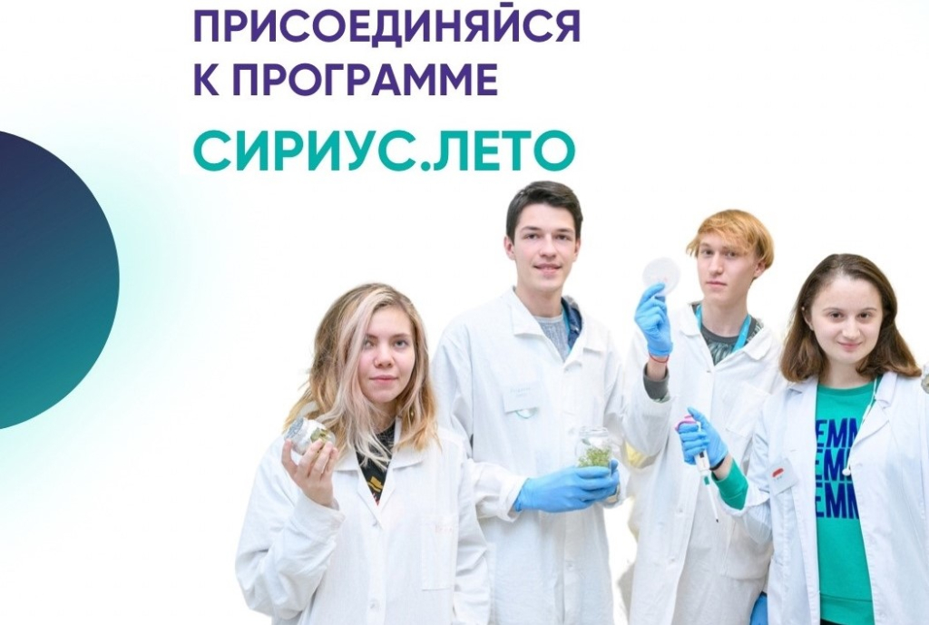 Сириус лета. Наставничество первокурсников. Студенты аспиранты сидят.