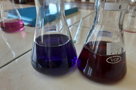 «Химия — это интересно!»: шестой морской класс провел эксперименты в МАУ