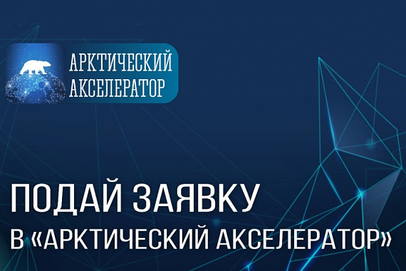 Арктический акселератор: прокачай свой проект