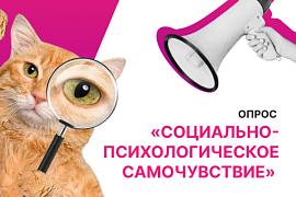 Социально-психологическое самочувствие: опрос