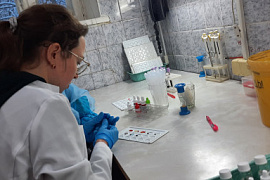 Студенты-медики МАУ посетили Мурманскую областную станцию переливания крови