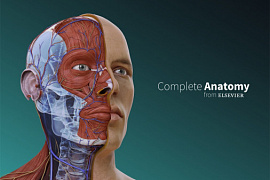 Будущие медики смогут изучить анатомию человека по виртуальному 3D атласу