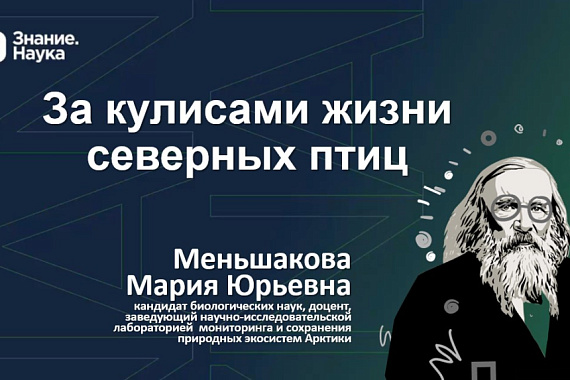 Приглашаем на лекцию-прогулку «За кулисами жизни северных птиц»