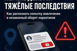 Лёгкие деньги&nbsp;&mdash; тяжёлые последствия: карточки от Координационного центра МАУ